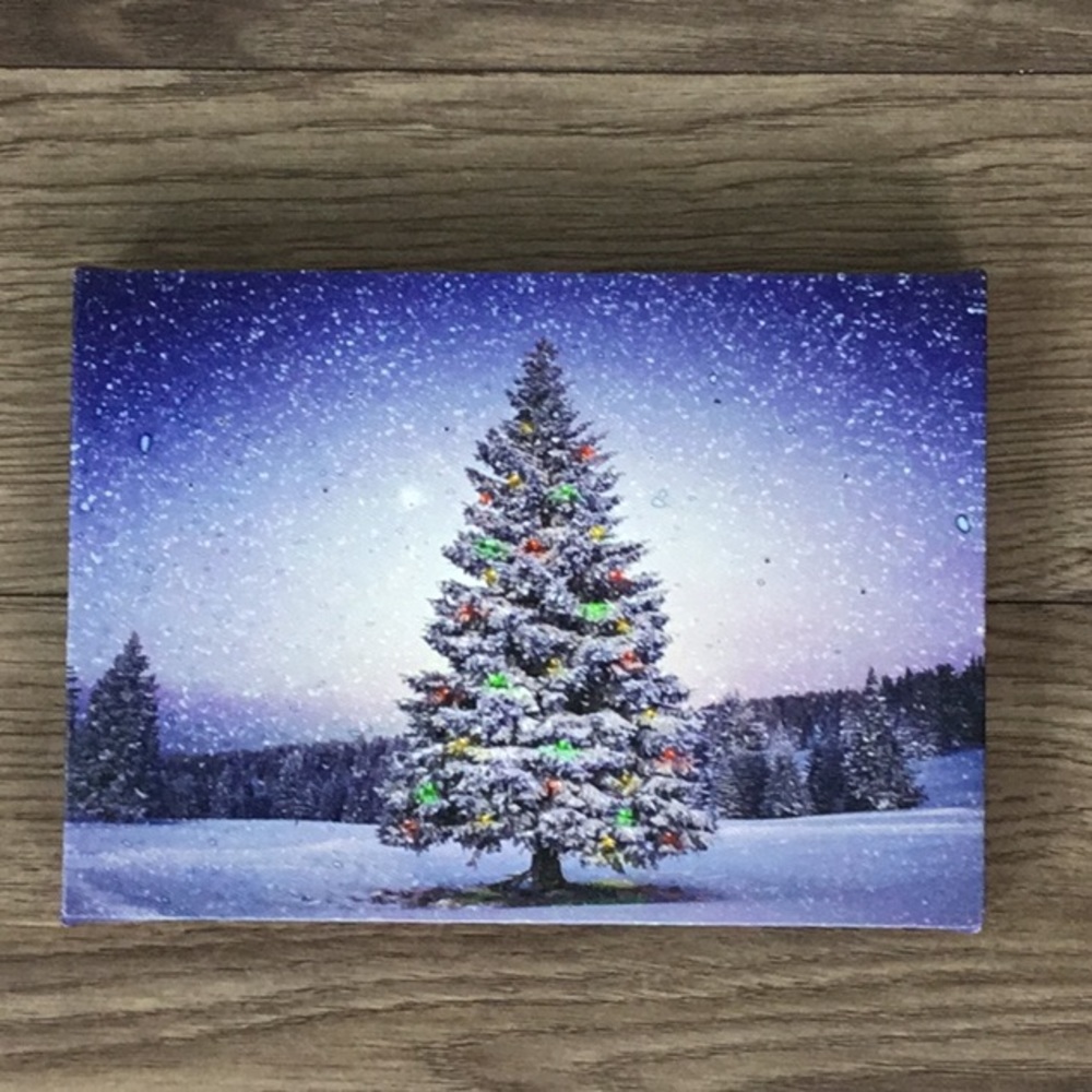 Holiday LED Canvas